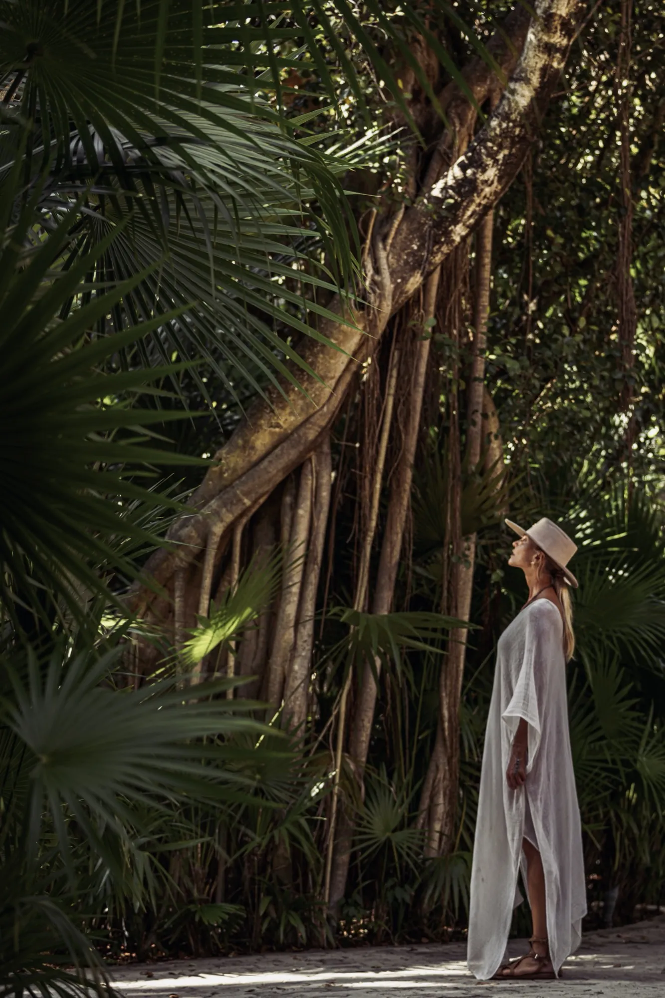 Hacienda Palancar